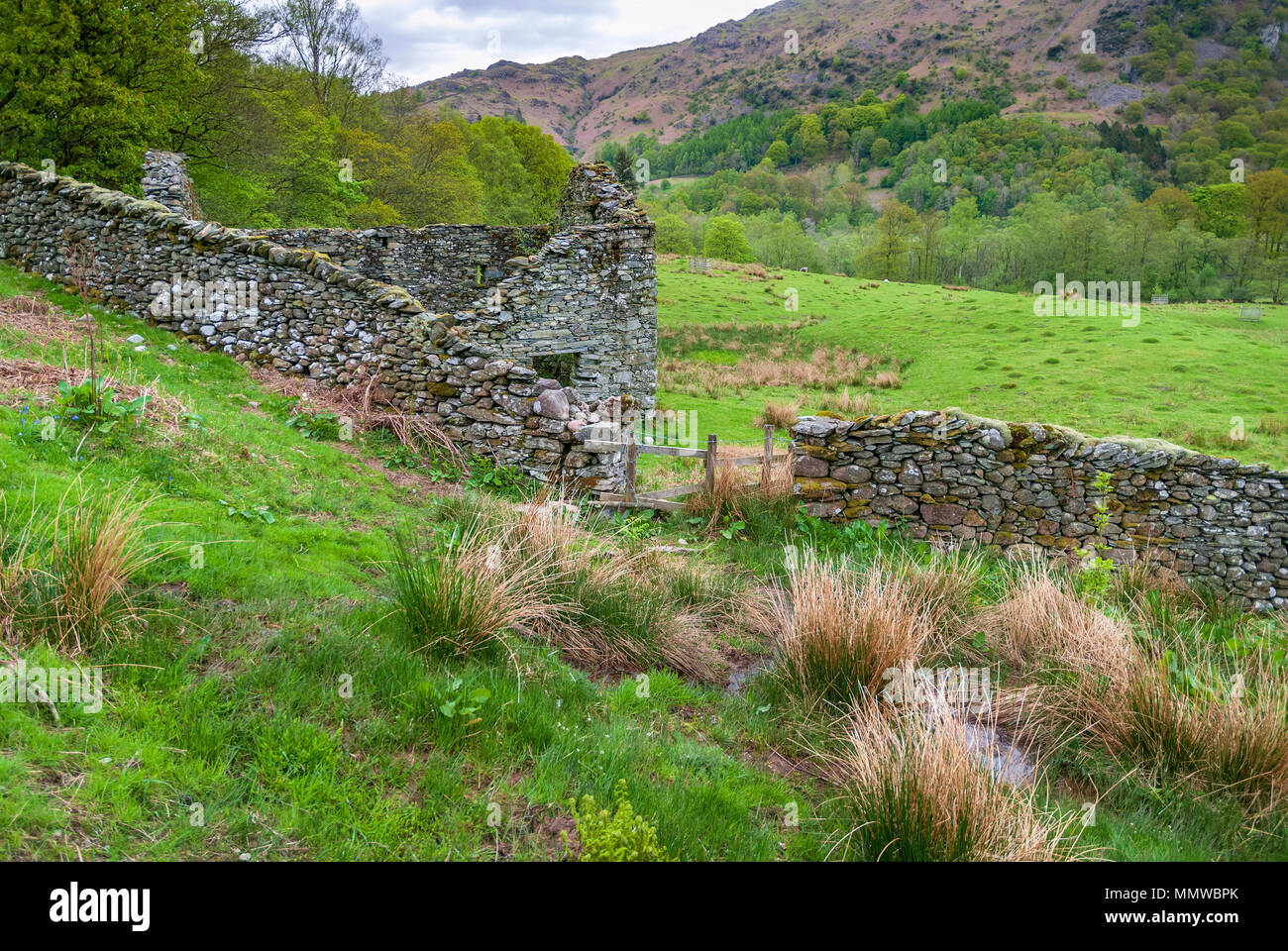 Cottage la ruine. Le Lake District. Les lacs. Rydal. Banque D'Images