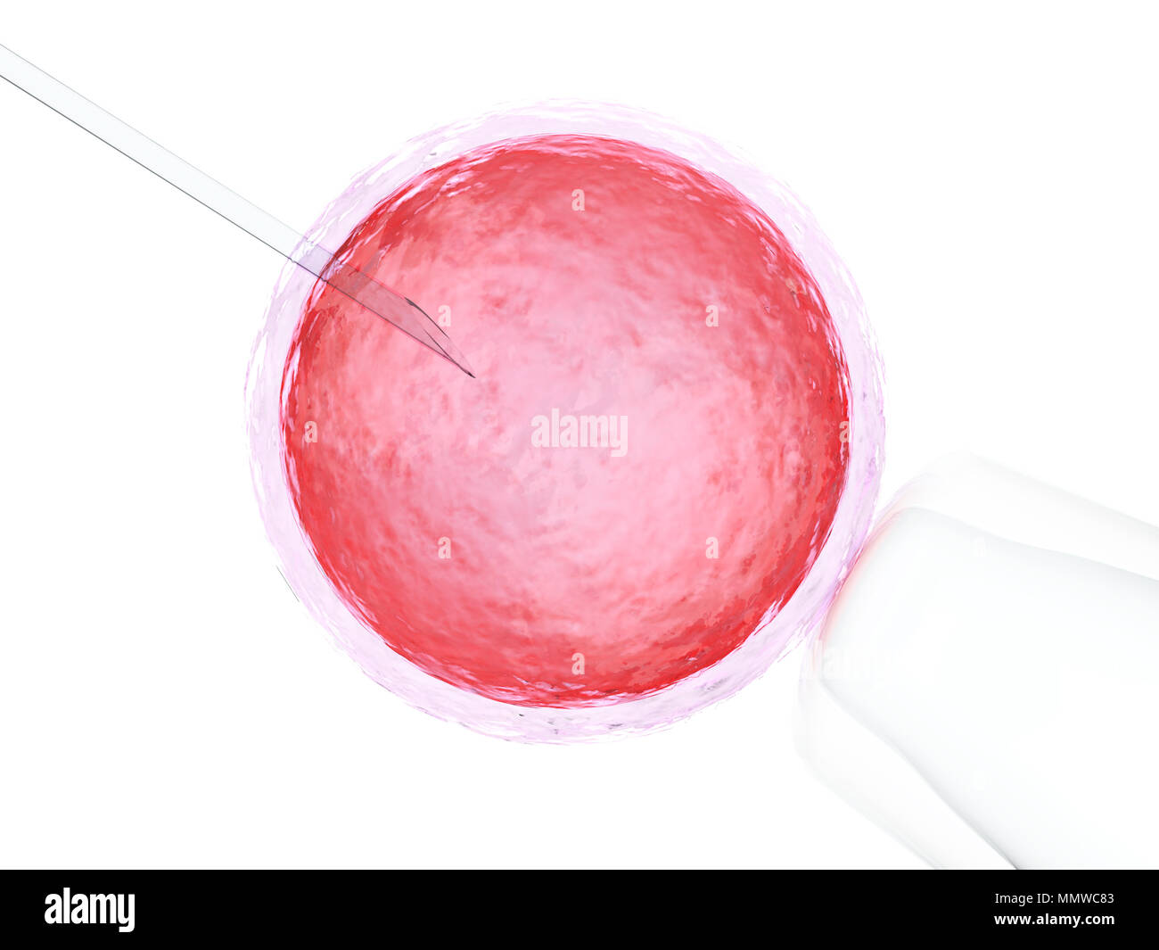 Le rendu 3d'ovule avec aiguille pour l'insémination artificielle ou la fécondation in vitro Banque D'Images