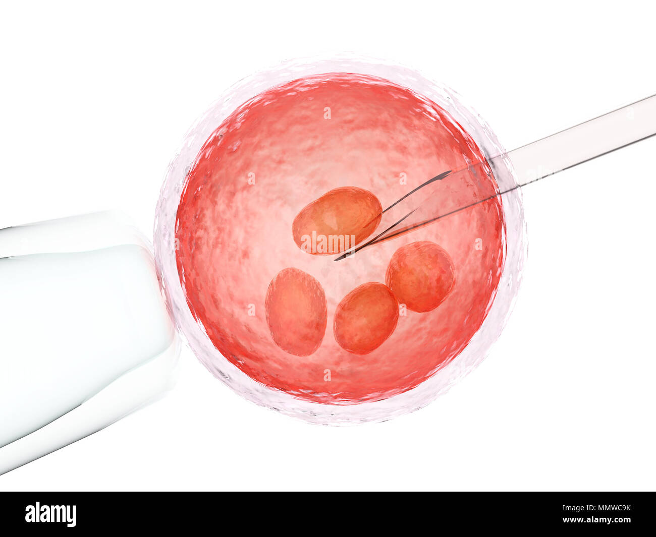 Le rendu 3d'ovule avec aiguille pour l'insémination artificielle ou la fécondation in vitro Banque D'Images