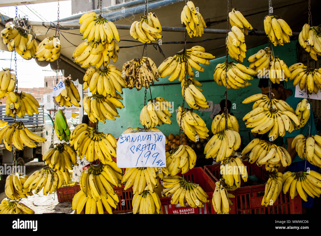 Les bananes, les fruits à vendre sur Salvado Bahia Banque D'Images