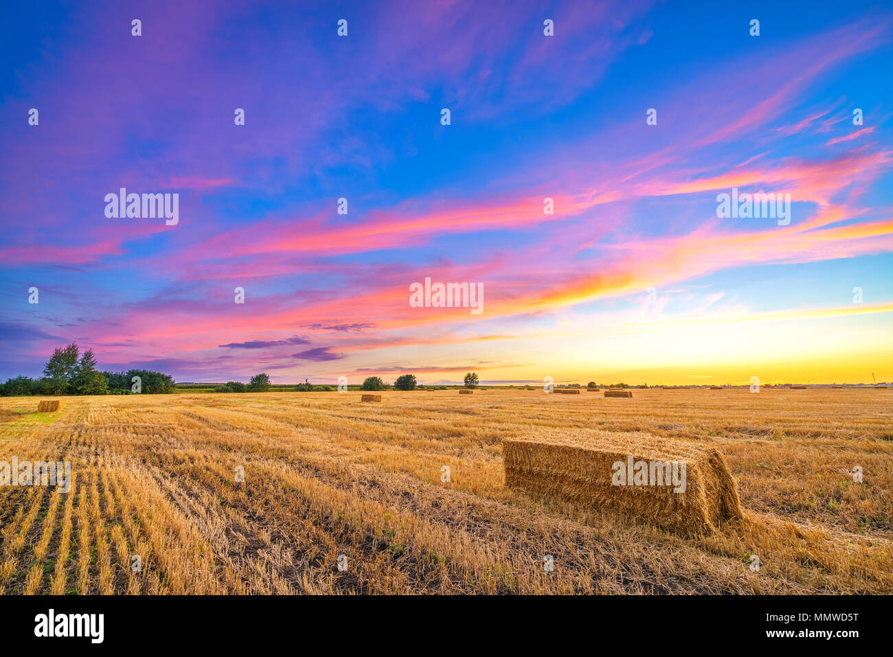 Paysage d'automne Rural au coucher du soleil Banque D'Images
