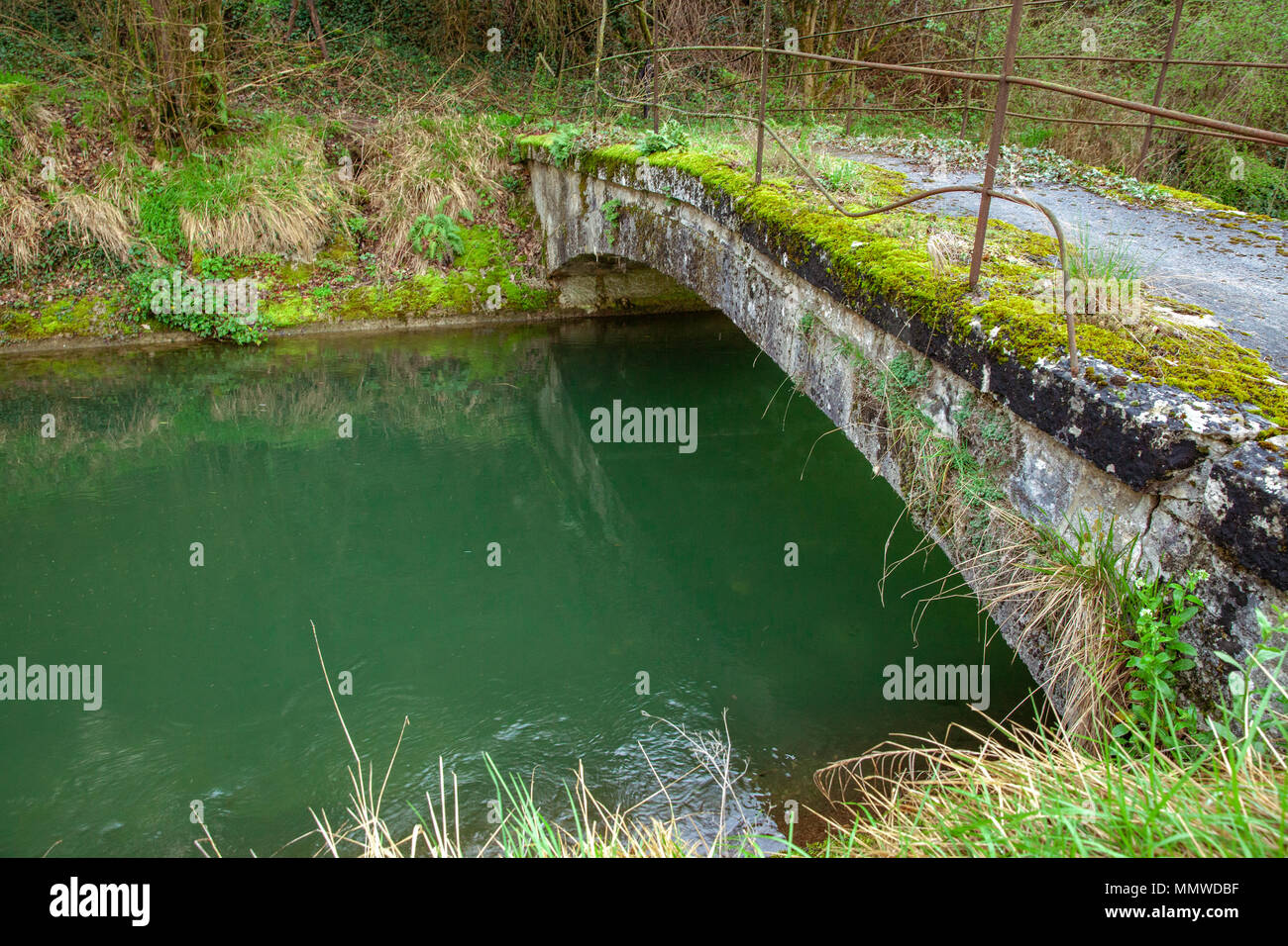 Canal d'eau de la Bourne Parnans dans l'Auvergne-Rhône-Alpes France Banque D'Images