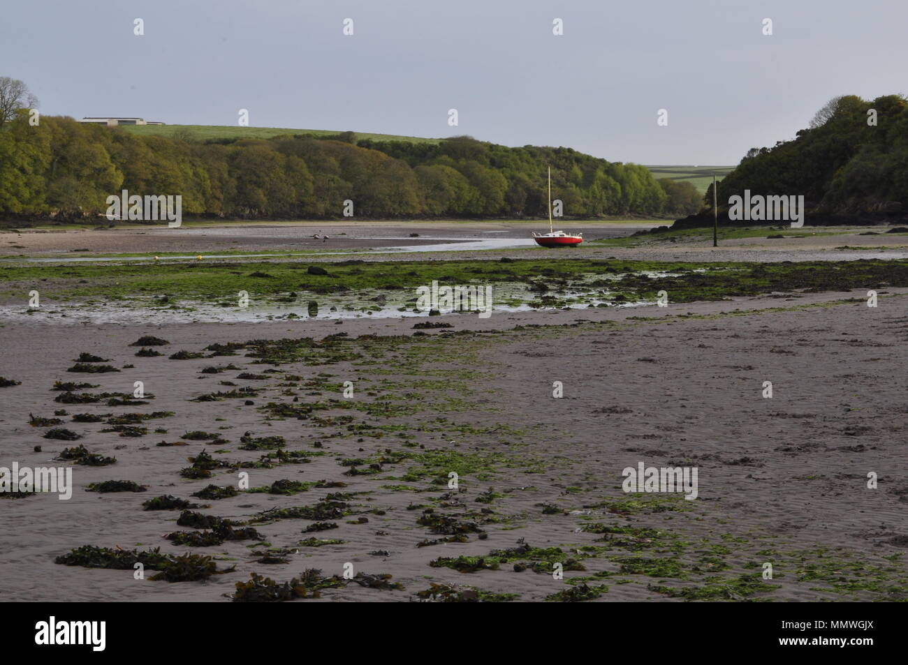 Sandy Haven,près de Pembrokeshire, Pays de Galles UK Herbrandston Banque D'Images