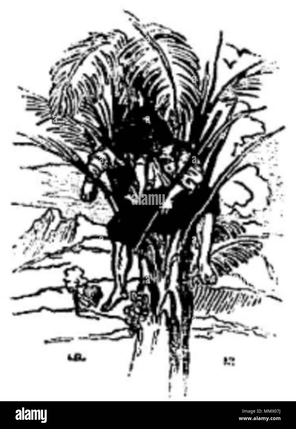 Robinson Crusoé - Defoe, Borel et Varenne, 1836, page 095 illust Banque D'Images