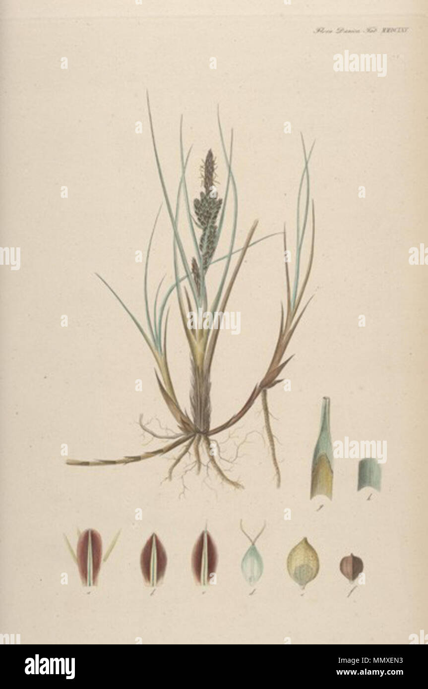 Fd2665 Banque D'Images