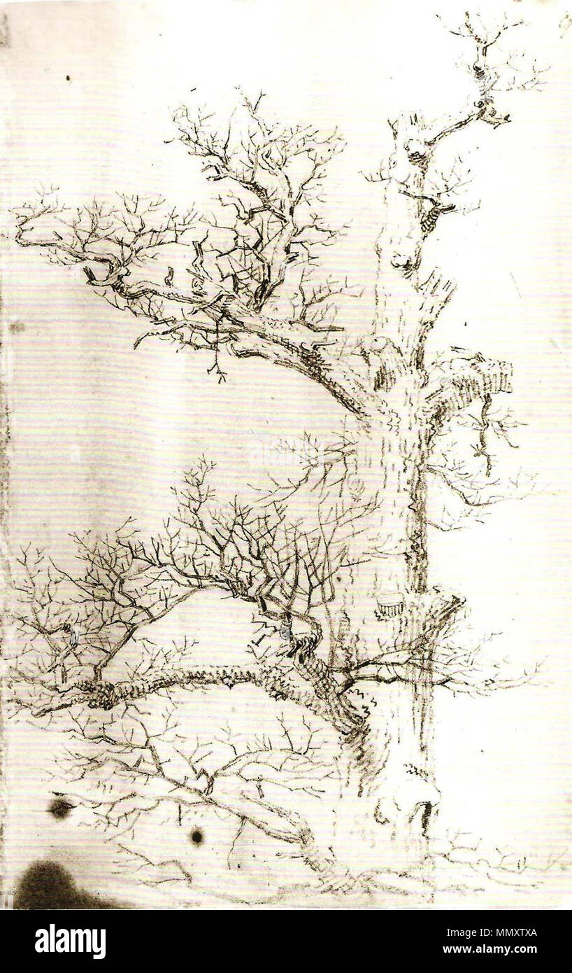 . Deutsch : 18,4 x 11,8 cm Chêne Studie. vers 1804. Eichenstudie Banque D'Images