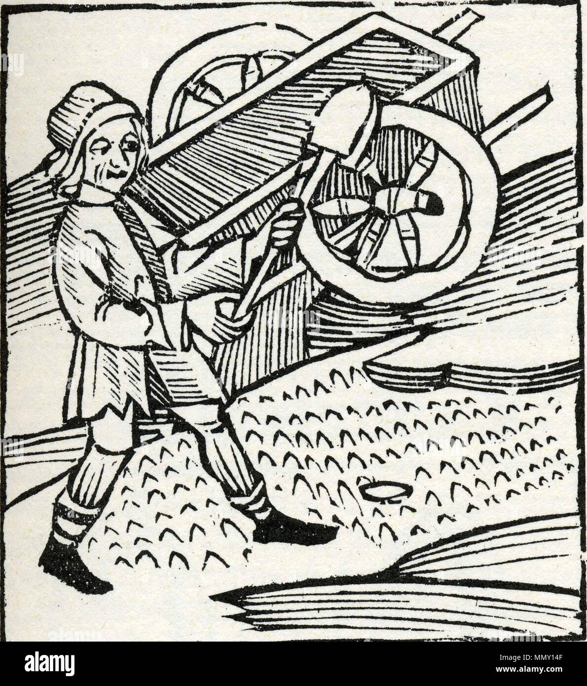 88-minerali. Rena Banque D'Images