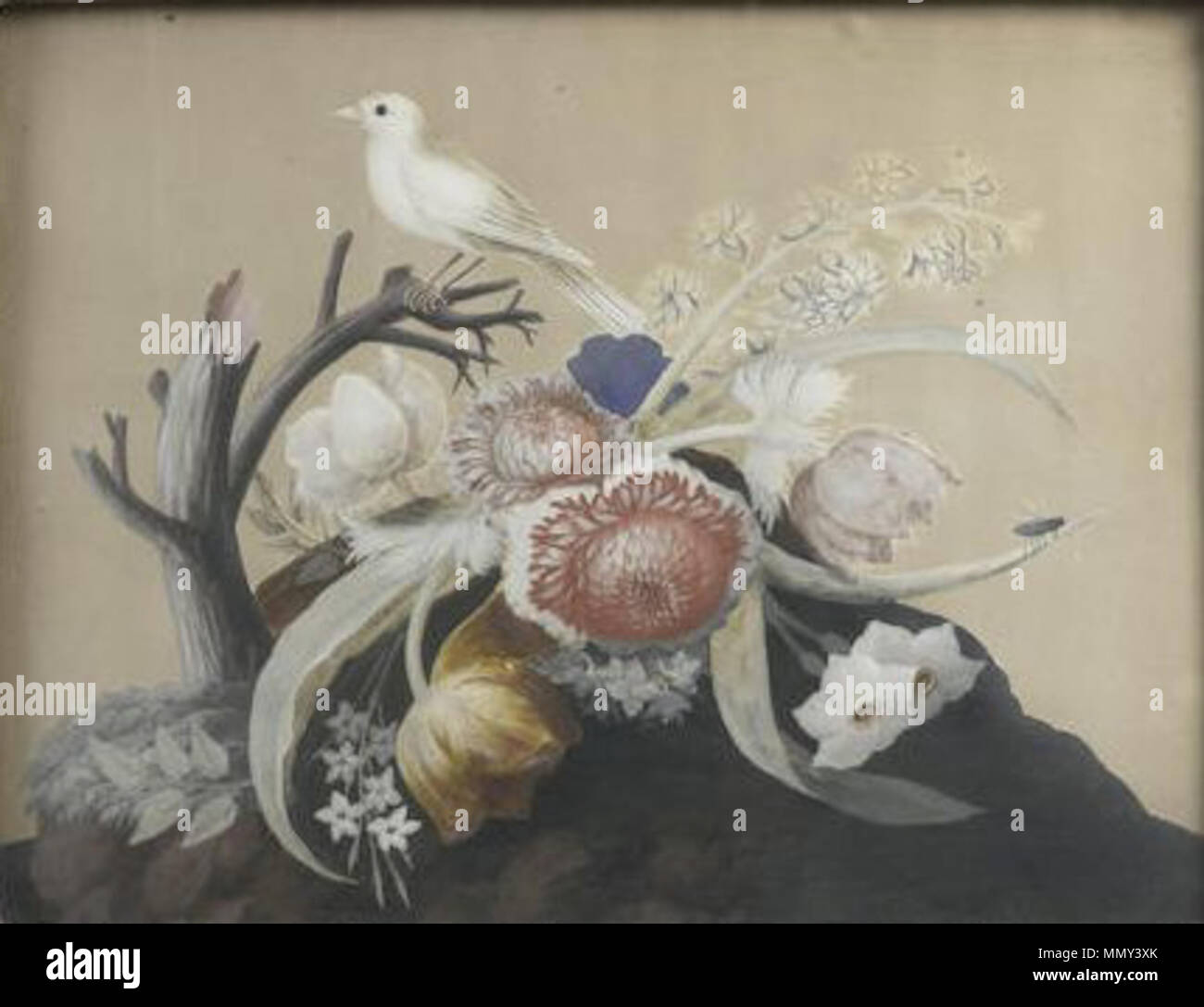 . Anglais : perché sur une branche avec des tulipes jaunes et blancs, des anémones, jonquilles et jacinthes avec une abeille. . Avant 1770. Samuel Dixon (-1769) Description La aquarelliste et marchand d'aquarelliste irlandais, fl.1748-1769 Date de naissance/décès mar 27 janvier 1769 Lieu de naissance/décès London Authority control : Q26710597 : VIAF ?94657487 ULAN : ?500008424 un irlandais George III d'oiseaux en relief Photo par Samuel Dixon Banque D'Images