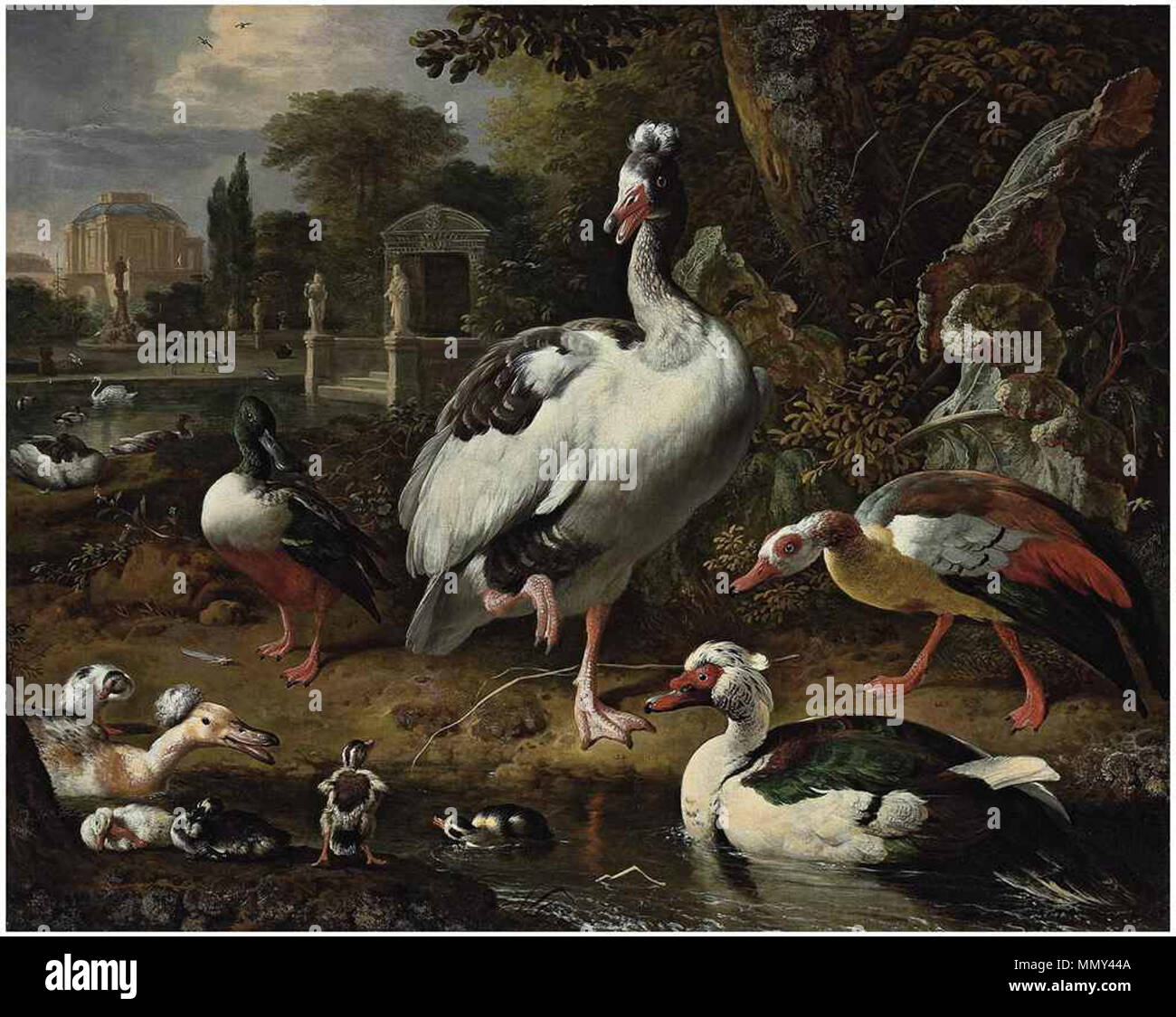 . Anglais : un blanc et gris cormoran à Goose, un canard souchet, un canard de Barbarie, oisons, canetons et autres oiseaux dans un parc, d'élégants bâtiments au-delà d'un gris et blanc d'oie à crête Banque D'Images