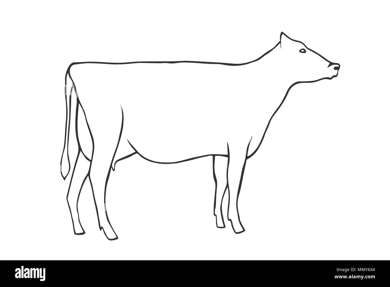 Dessiner à Main Contour Vache Vector Illustration Vecteurs