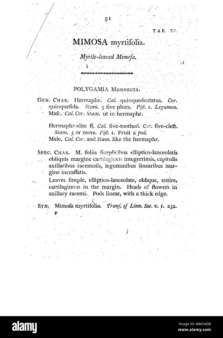. C'est une page de James Edward Smith's ''un spécimen de la Botanique de New Holland, le premier livre publié séparément sur la flore de l'Australie. L'œuvre originale est dans le domaine public en raison de son auteur étant mort un grand il y a de nombreuses années. Le scan est récent, mais comme il s'agit d'une copie servile d'un travail en deux dimensions, et depuis l'analyse a été réalisée aux Etats-Unis, elle aussi est dans le domaine public. Un spécimen de la Botanique de New Holland - p. 51 Banque D'Images