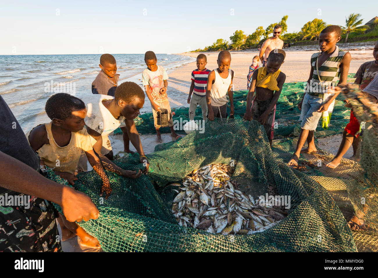 Les petits pêcheurs locaux découvrez les captures dans leurs filets à Inhassoro au Mozambique. Banque D'Images