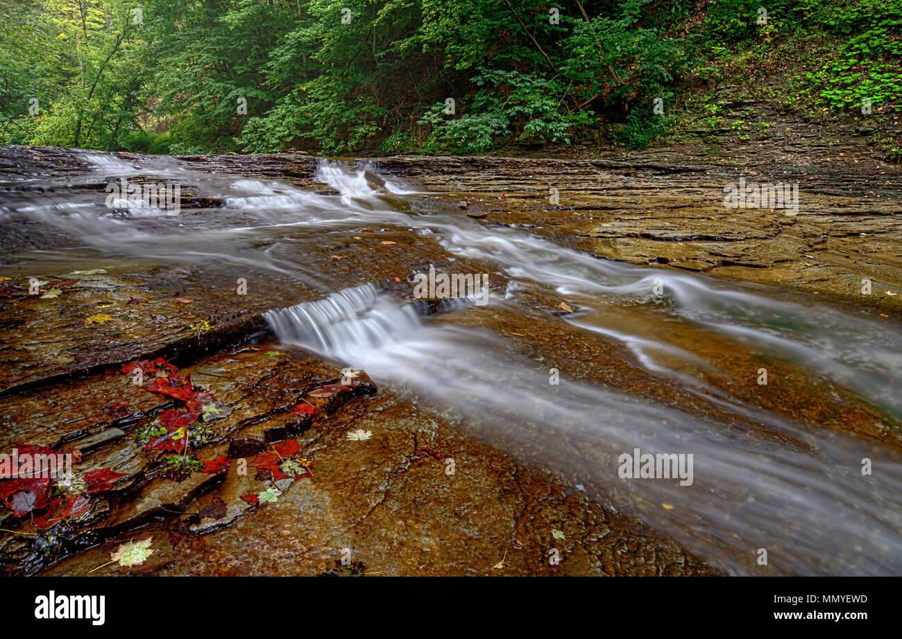 Une petite cascade sur Brandywine Creek dans le parc national de Cuyahoga Valley dans l'Ohio. Vu ici à la fin de l'été à faible débit d'eau. Banque D'Images