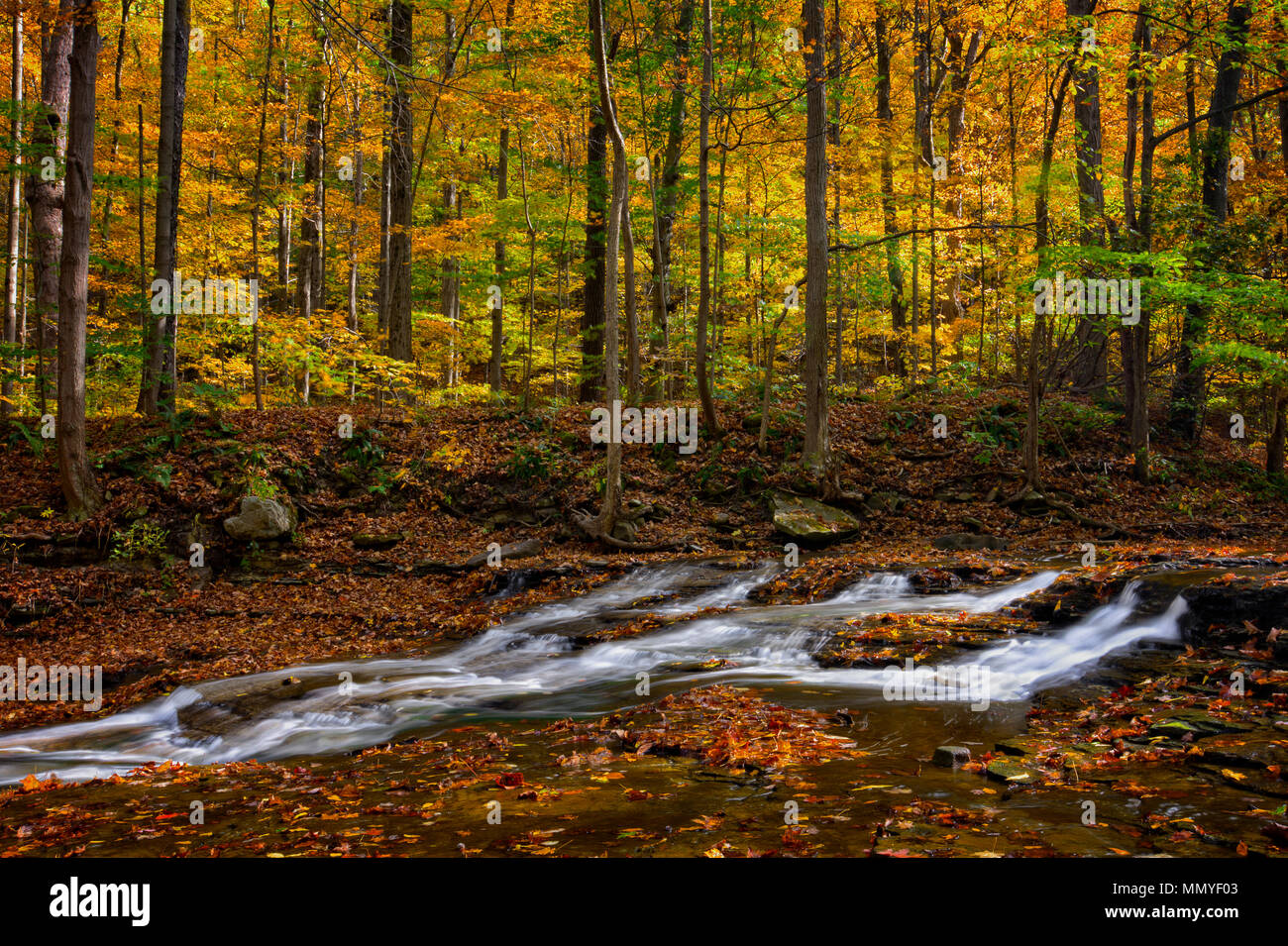 Une petite cascade sur Brandywine Creek dans le parc national de Cuyahoga Valley dans l'Ohio. Vu ici à l'automne avec des feuilles mortes. Banque D'Images