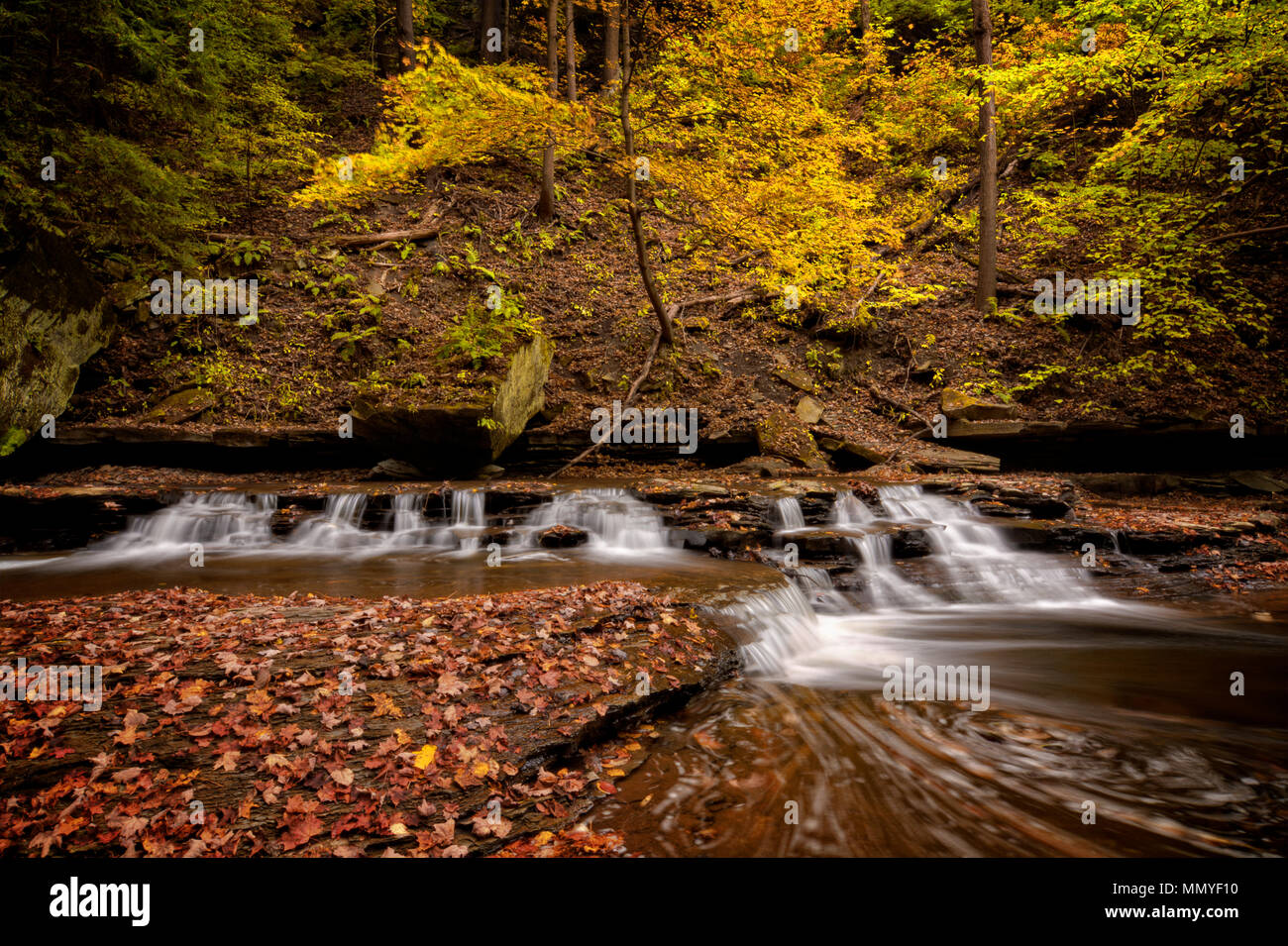 Une petite cascade sur Brandywine Creek dans le parc national de Cuyahoga Valley dans l'Ohio. Vu ici à l'automne avec les feuilles mortes. Banque D'Images