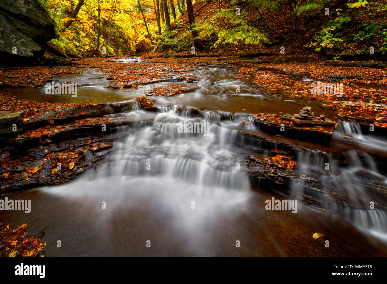Une petite cascade sur Brandywine Creek dans le parc national de Cuyahoga Valley dans l'Ohio. Vu ici à l'automne avec des feuilles mortes. Banque D'Images
