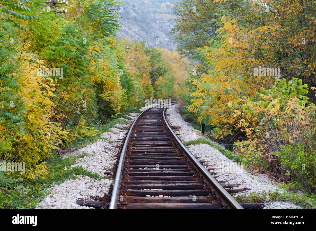 Voie ferrée à travers une forêt d'automne colorés Banque D'Images Voie ferrée à travers une forêt d'automne colorés Banque D'Images