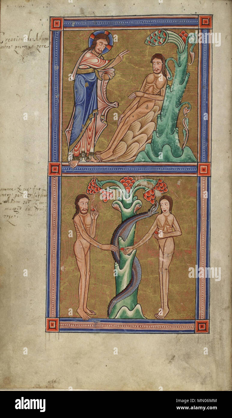 English : Psautier Hunter : la création d'Adam et la tentation d'Adam et Eve au paradis terrestre . circa 1170. Psautier Hunterian - H229 f7v Banque D'Images