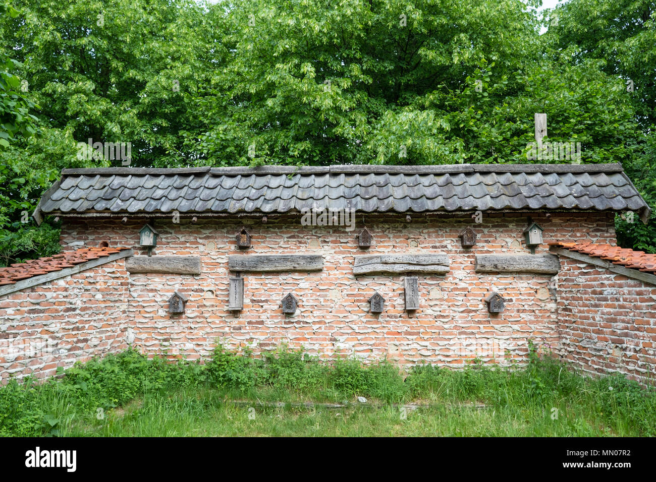 Un mur d'insectes Les insectes ou l'hôtel est une construction qui peuvent fournir un abri pour les insectes. C'est un site conçu par l'homme de la survie avec des matériaux naturels Banque D'Images