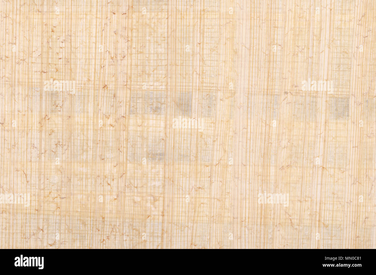 Surface de papyrus. Matériau semblable à du papier épais, utilisé dans les temps anciens, comme une plage d'écriture. Faites de la moelle de l'usine de papyrus, Cyperus papyrus. Banque D'Images