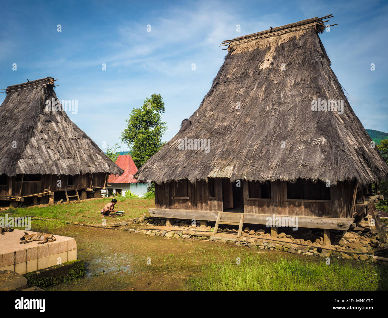 Wologai, village à l'Est de Nusa Tenggara, en Indonésie - Juin 2018 : membre de la tribu locale en situation minoritaire Banque D'Images Wologai, village à l'Est de Nusa Tenggara, en Indonésie - Juin 2018 : membre de la tribu locale en situation minoritaire Banque D'Images