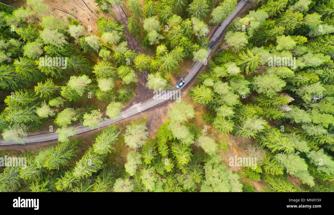 Road à travers la forêt. Vue aérienne de la forêt verte drone. Banque D'Images