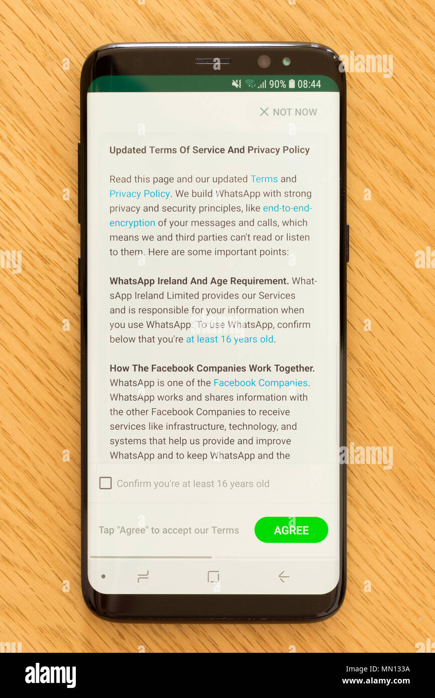 Les conditions d'utilisation et Politique de confidentialité page sur l'application WhatsApp introduite comme conséquence de la nouvelle UE PIBR (Règlement général sur la protection des données) Banque D'Images