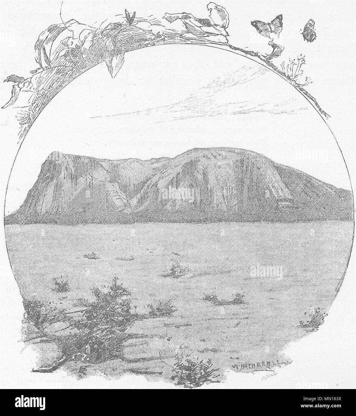 L'Australie. Adélaïde. 1890 Mont Remarkable ancienne vintage print photo Banque D'Images