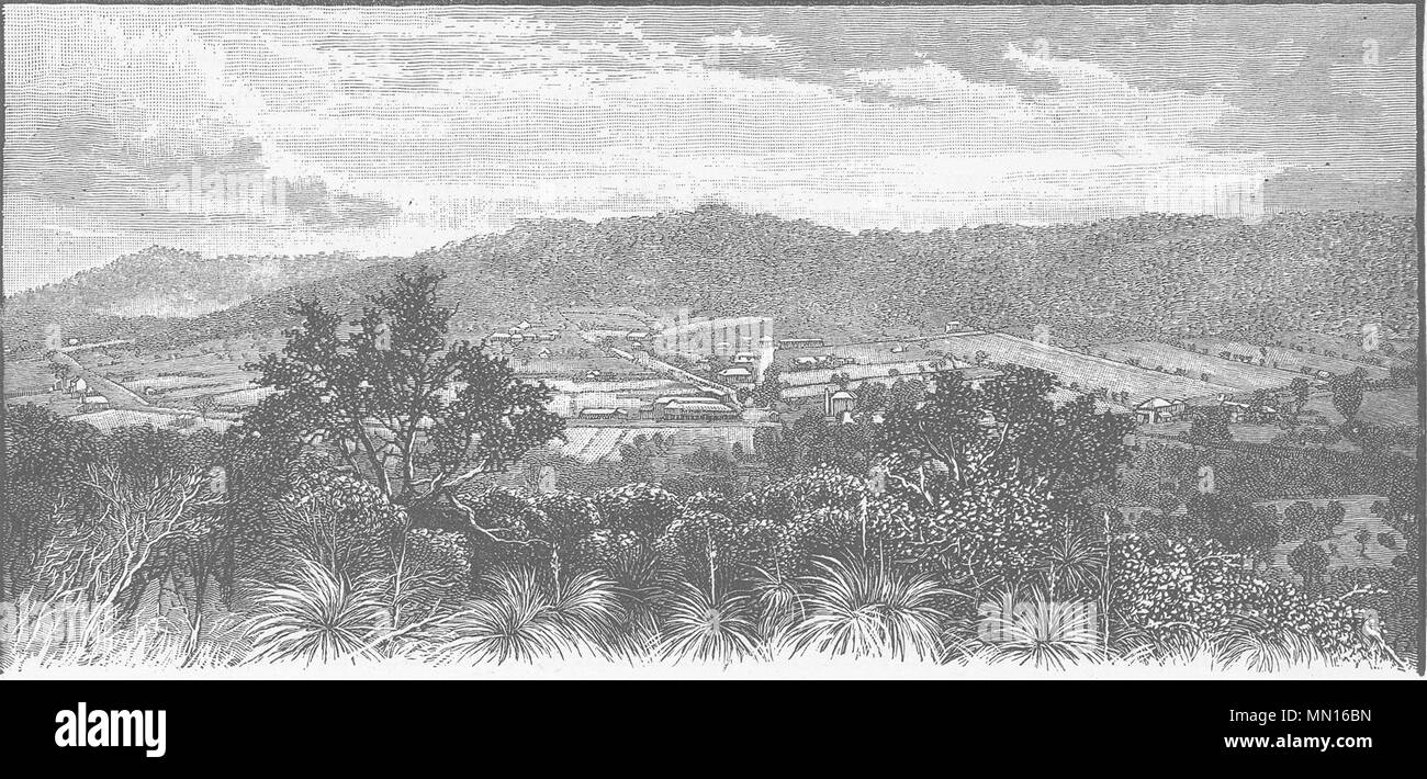 L'Australie. À l'Ouest. Newcastle 1890 ancienne vintage print photo Banque D'Images