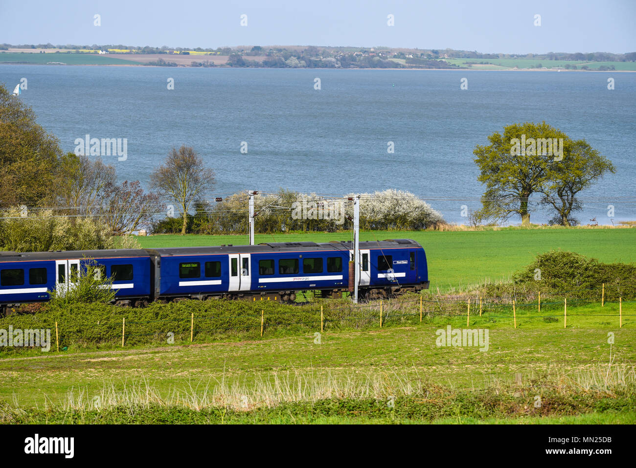 Une plus grande Anglia train le long de la rivière Stour vers Harwich au Bradfield, Tendring, Essex, Royaume-Uni. Campagne de l'Essex voyage en train. Journée ensoleillée en pays Banque D'Images