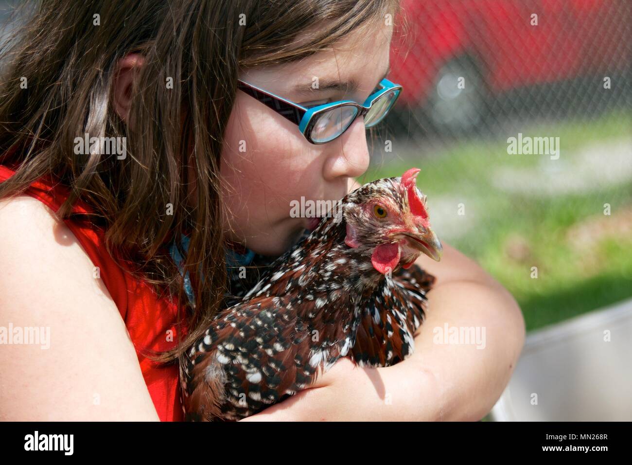 11 mai 2013 - Philadelphia, PA, USA : une fille embrasse un poulet à l'W. B. Saul High School pour les sciences agricoles à Philadelphie, Pennsylvanie. Banque D'Images