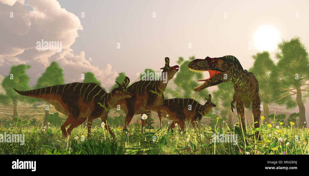 L'Albertosaurus et Lambeosaurus Dinosaures - un troupeau de dinosaures Lambeosaurus s'alarmer lorsqu'un prédateur Albertasaurus fait une apparition. Banque D'Images