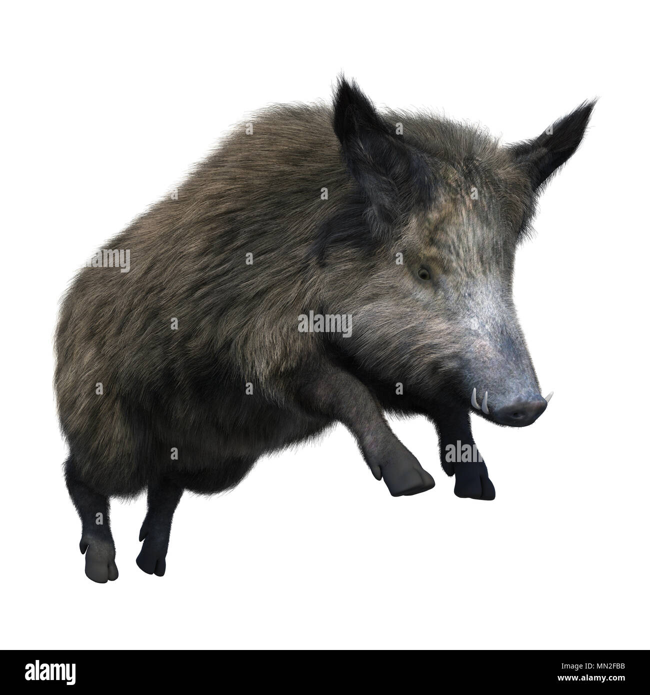 Le Rendu 3d D Un Sanglier Isole Sur Fond Blanc Photo Stock Alamy