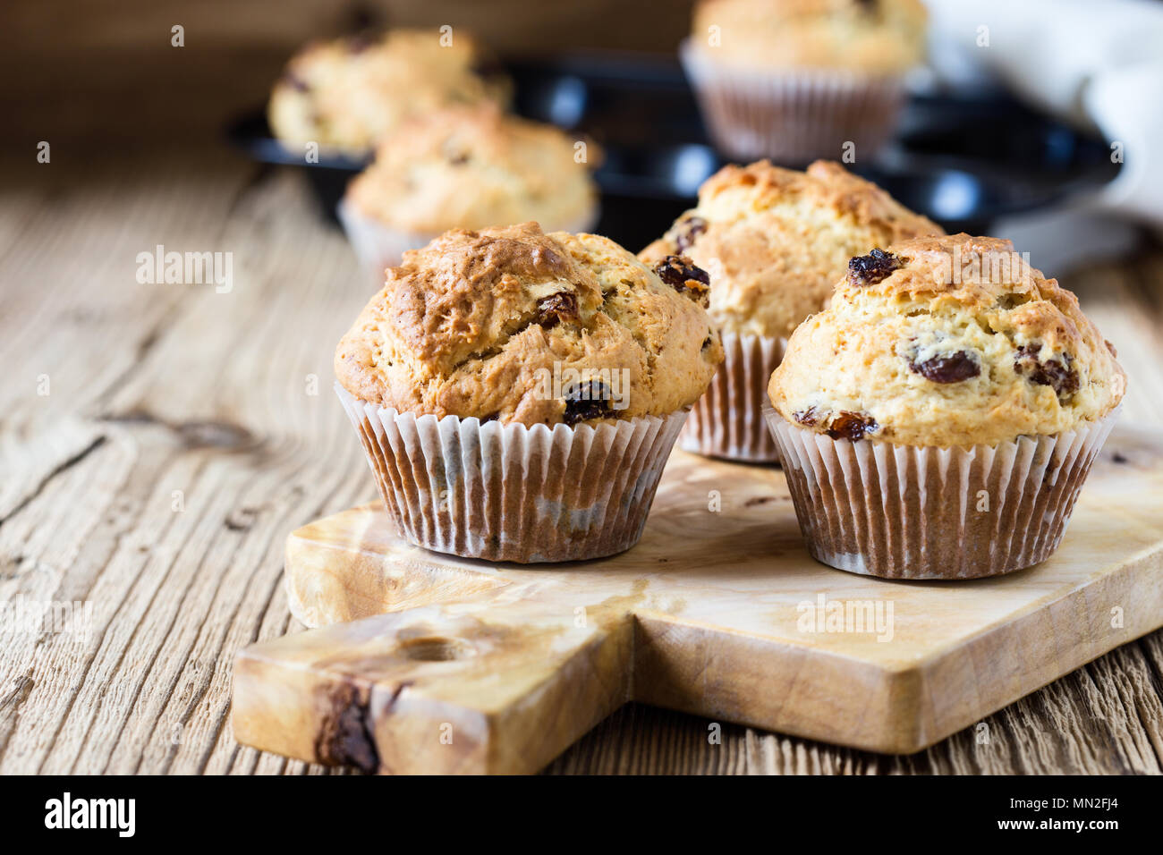 Muffins farine de petit-déjeuner avec des raisins secs, des pâtisseries maison traditionnelle américaine Banque D'Images
