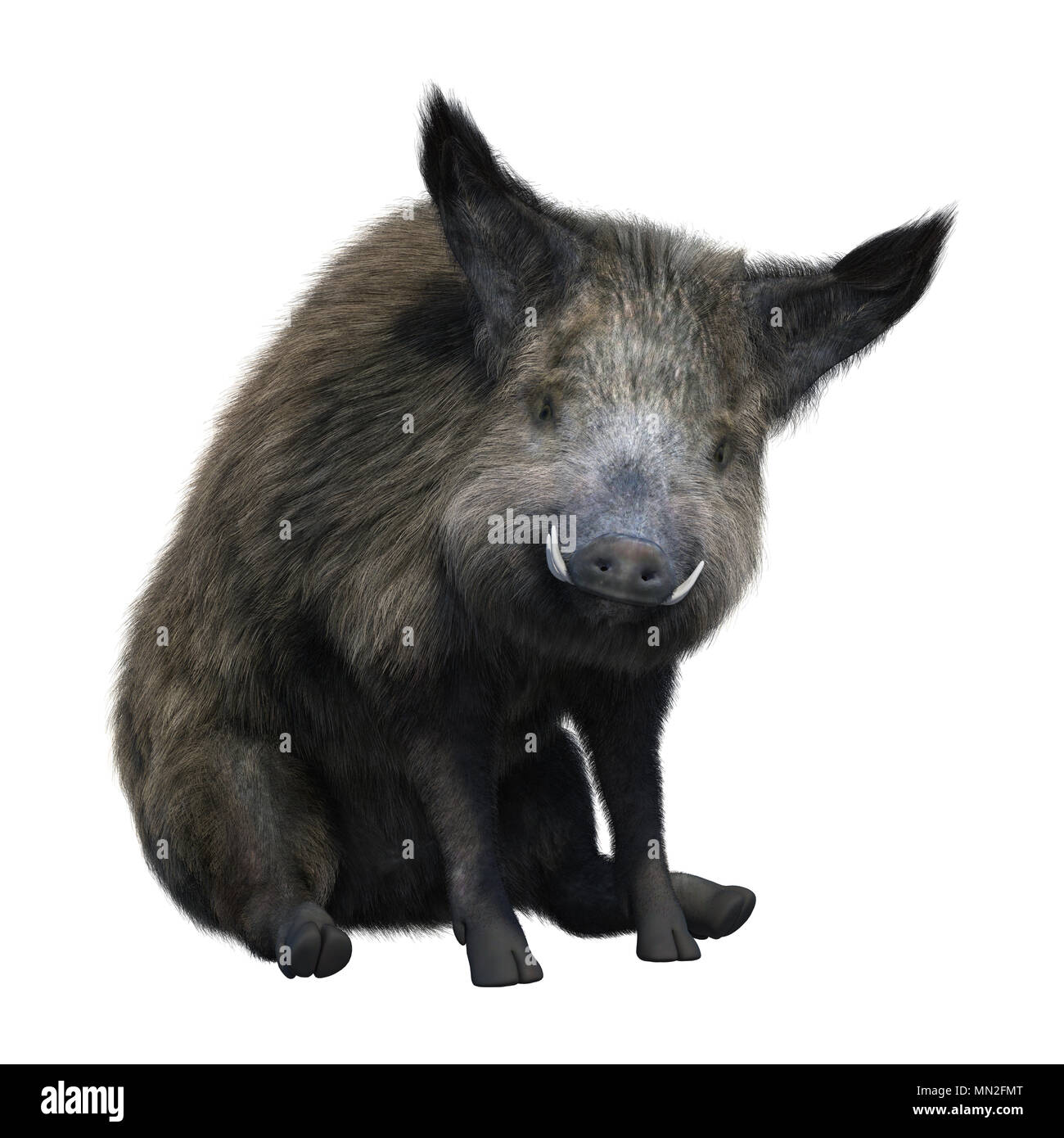 Le Rendu 3d D Un Sanglier Isole Sur Fond Blanc Photo Stock Alamy