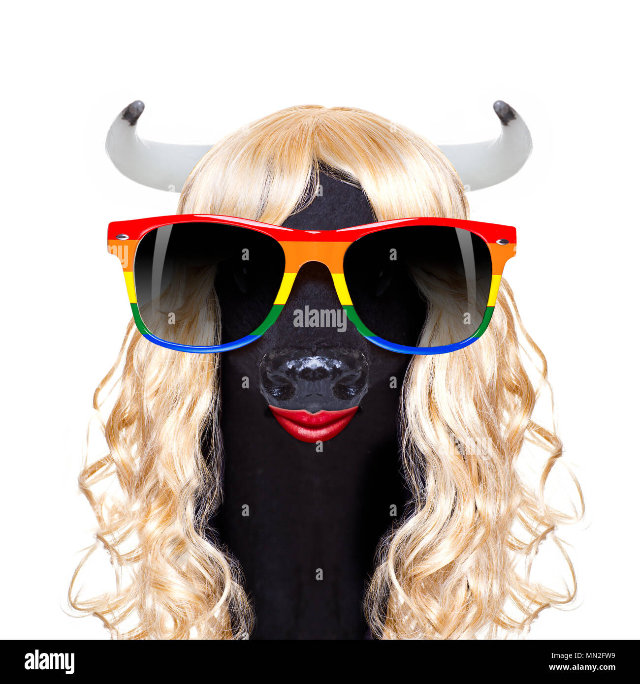 Gay pride vache aussi drag queen comité permanent pour l'égalité sociale, pour la CDD, Christopher Street Day Parade homosexuelle ou Banque D'Images