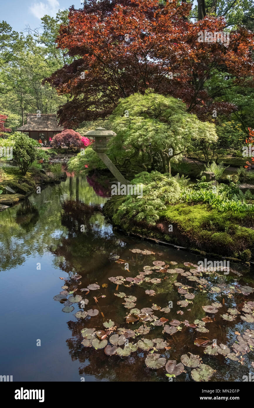 Le Jardin Japonais Japonais (Tuin) au printemps (mai), Parc Clingendael, La Haye (Den Haag), Pays-Bas. Banque D'Images