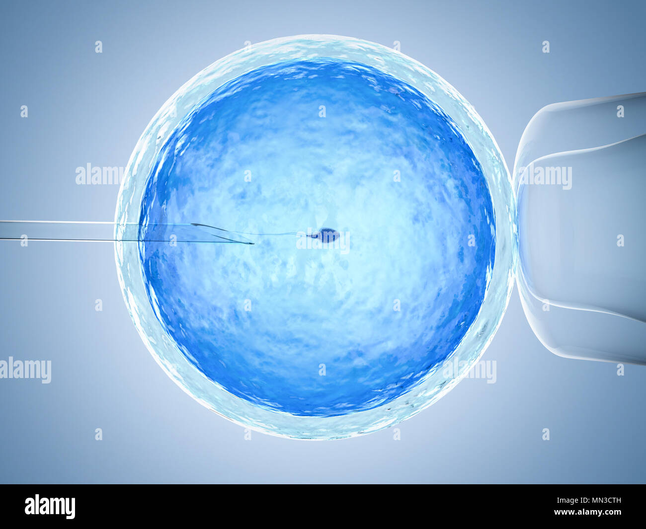Le rendu 3d'ovule avec aiguille pour l'insémination artificielle ou la fécondation in vitro Banque D'Images