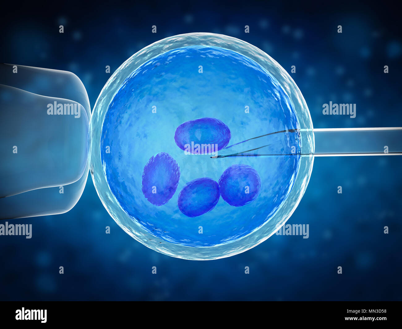 Le rendu 3d'ovule avec aiguille pour l'insémination artificielle ou la fécondation in vitro Banque D'Images