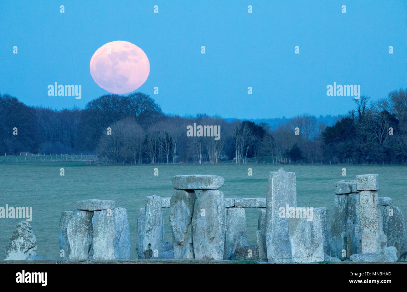 L'offre super blue moon se lever sur Stonehenge, Wiltshire, England, UK Banque D'Images