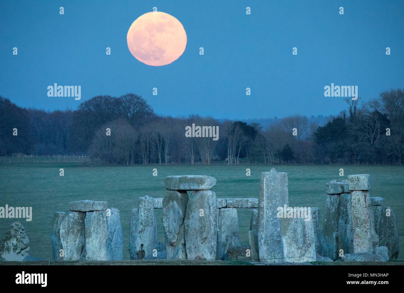 L'offre super blue moon se lever sur Stonehenge, Wiltshire, England, UK Banque D'Images