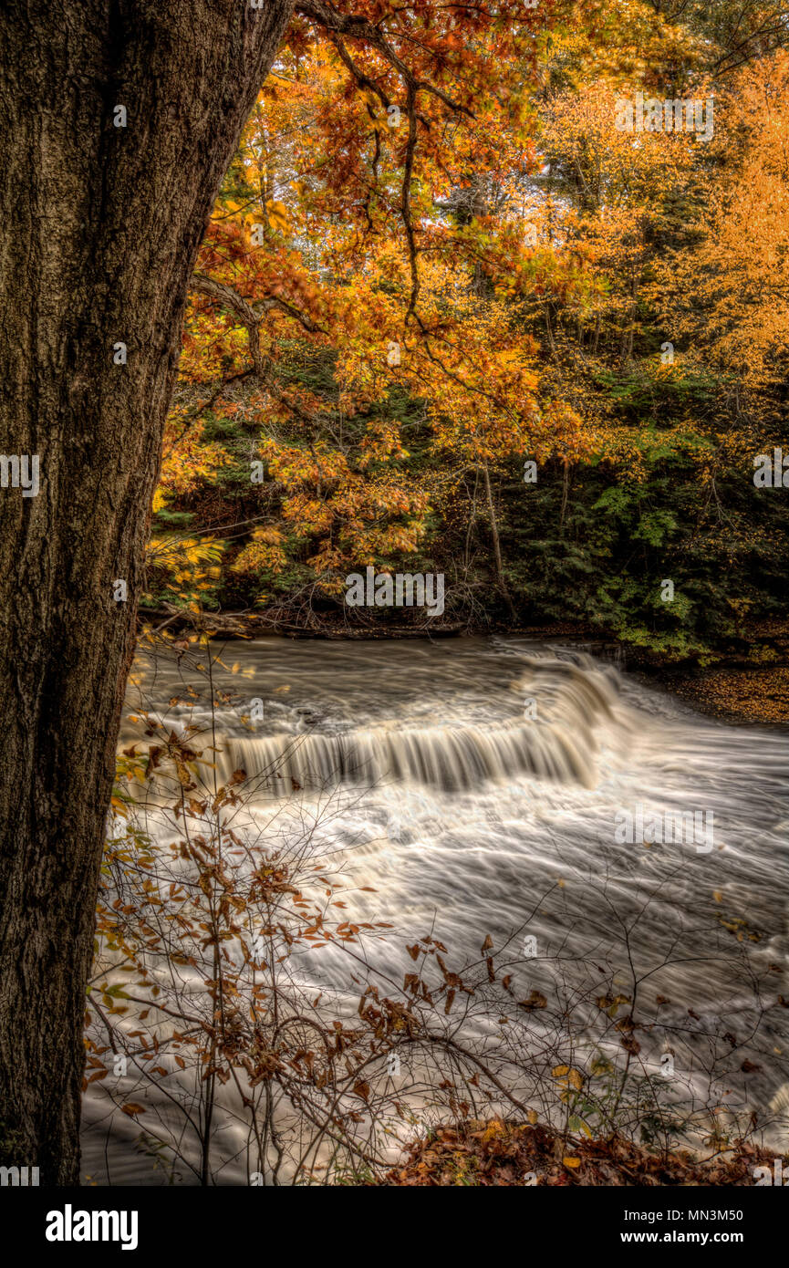 Belles couleurs d'automne sur les arbres ce châssis large cascade. La cascade est appelé Quarry Rock Falls, en dépit Réservation, Cleveland Ohio Banque D'Images