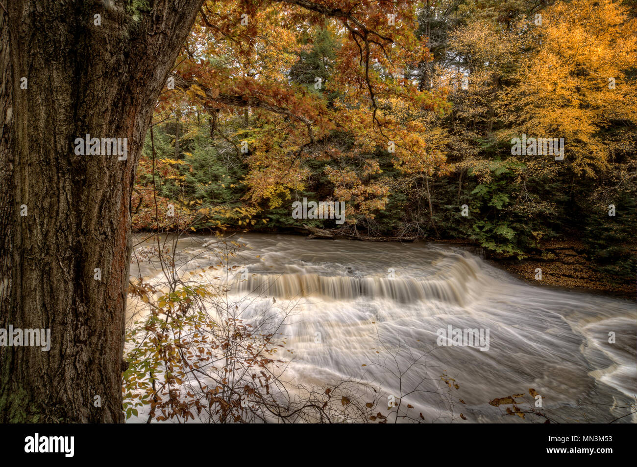 Belles couleurs d'automne sur les arbres ce châssis large cascade. La cascade est appelé Quarry Rock Falls, en dépit Réservation, Cleveland Ohio Banque D'Images