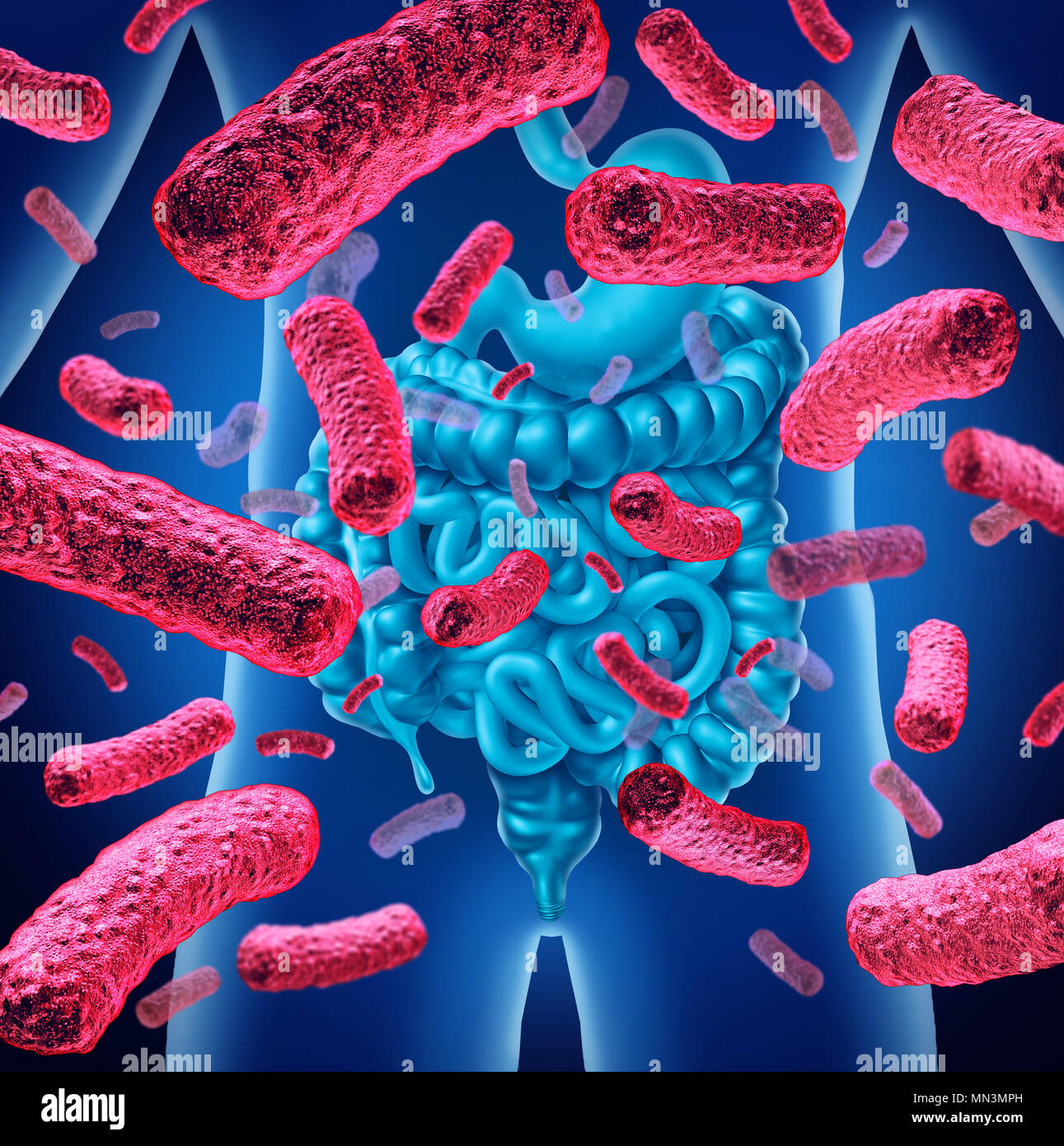 Les bactéries de l'intestin et la flore intestinale ou bactérie intestinale anatomie concept comme un 3D illustration. Banque D'Images