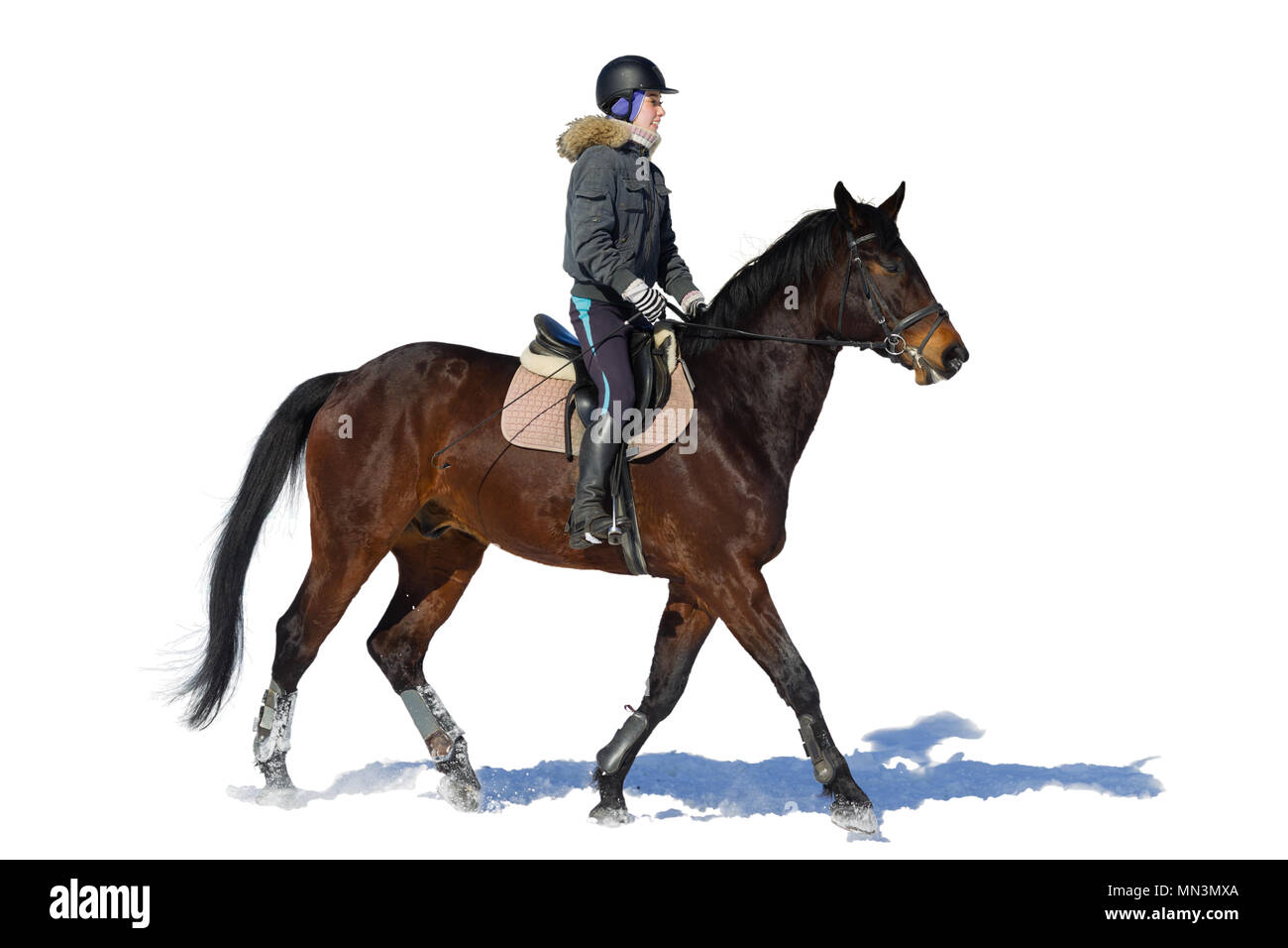 L'équitation. Une femme monte un cheval. La formation. Banque D'Images