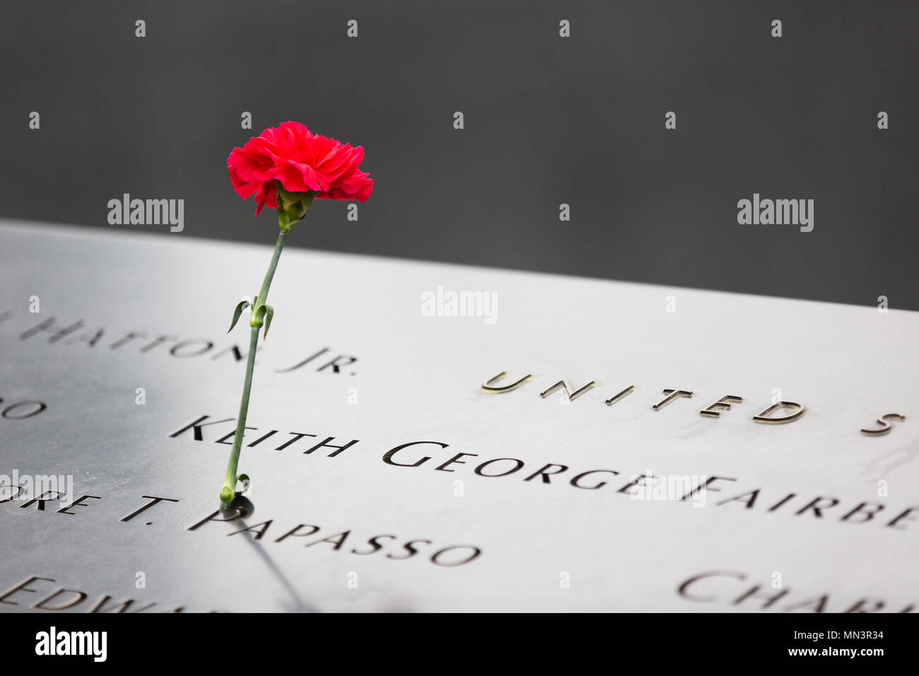 Un seul oeillet rouge en hommage à l'une des victimes de l'attaque du 11 septembre 2001 ; le 9/11 Memorial piscines, centre-ville de New York, New York USA Banque D'Images