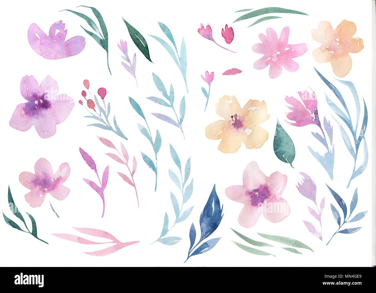 Dessin Aquarelle Illustration Floral Boho Isolés Bouquets De