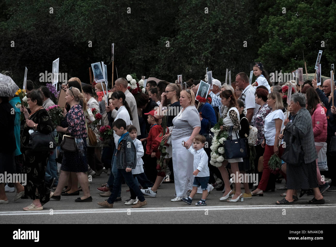 Les civils transnistriens portent des portraits de leurs ancêtres et des participants à la seconde Guerre mondiale pendant le jour de la victoire le 9 mai qui commémore la victoire de l'Union soviétique sur l'Allemagne nazie dans la rue du 25 octobre dans le centre de Tiraspol la capitale de Pridnestrovie, officiellement connue sous le nom de République moldave Pridnestrovienne PMR et également appelée Transnistrie depuis 1992 un État sécessionnaire enclavé internationalement reconnu comme faisant partie de la Moldavie Banque D'Images