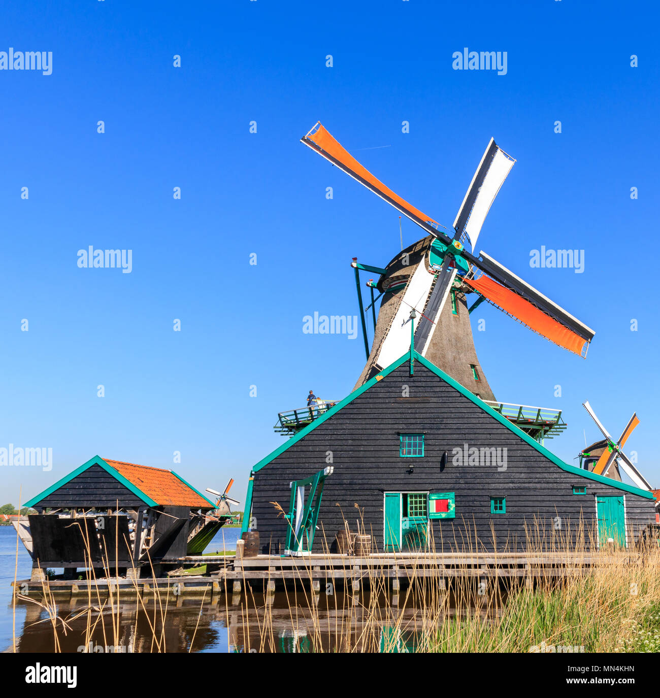 De Kat est un moulin à Zaanse Schaans et est le seul moulin dans le monde qui fait de la douleur Banque D'Images