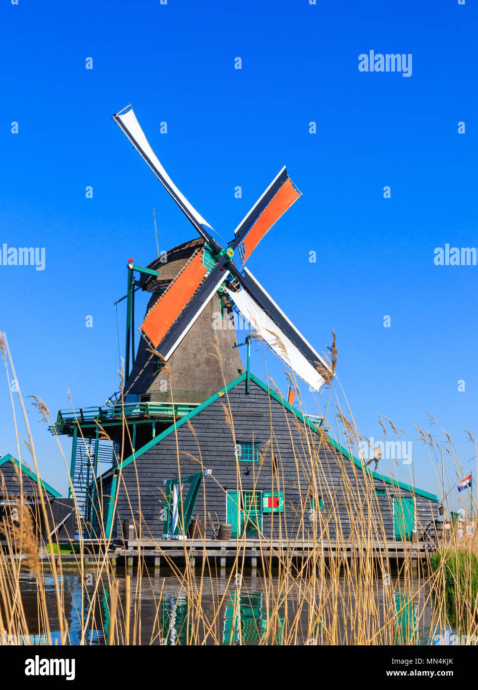 De Kat est un moulin à Zaanse Schaans et est le seul moulin dans le monde qui fait de la douleur Banque D'Images